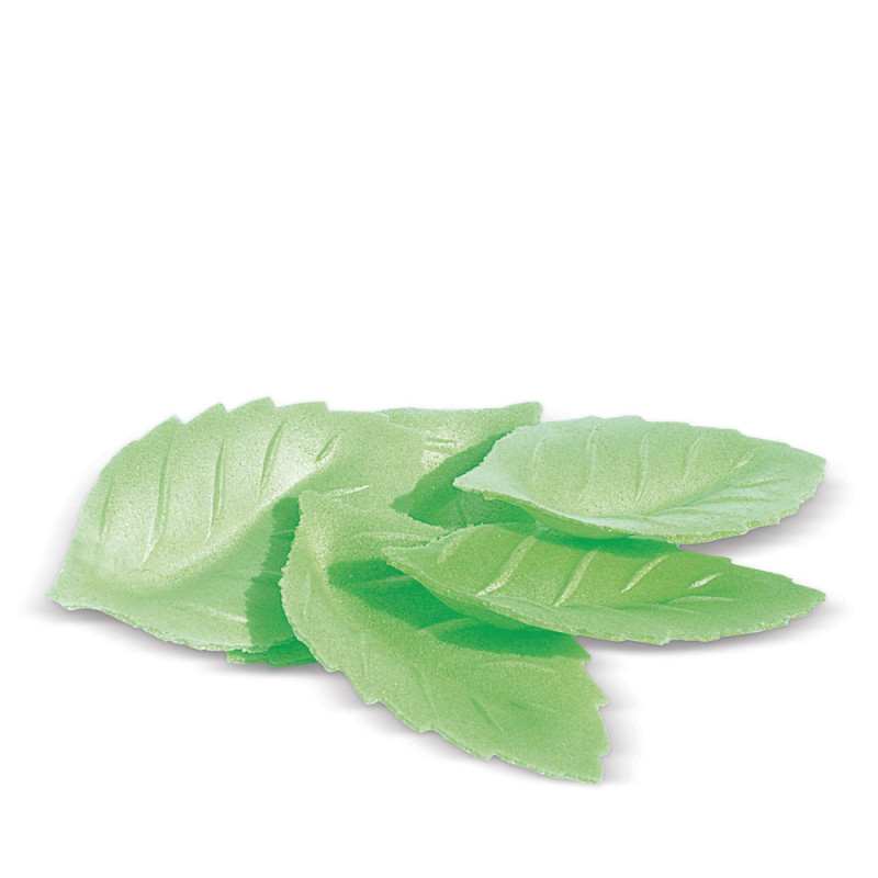 scrapcooking Décos azymes 24 feuilles vertes