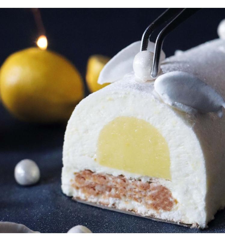 Scrapcooking Lot De 2 Moules Insert Bûche 30 Cm