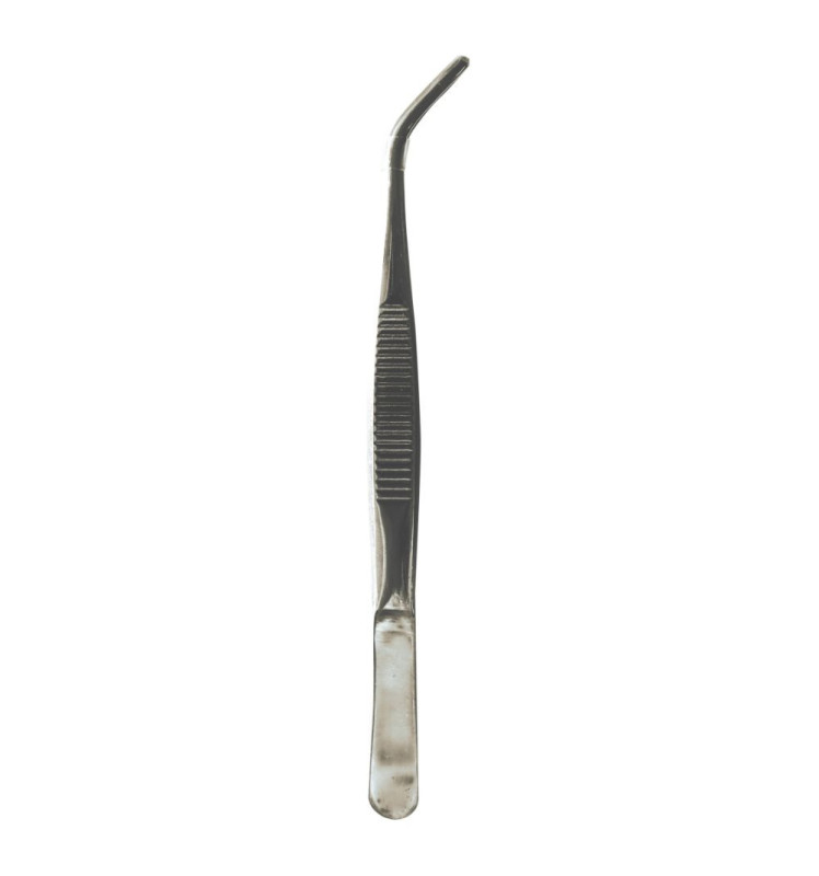 Scrapcooking Pince à Dresser Inox 16 Cm
