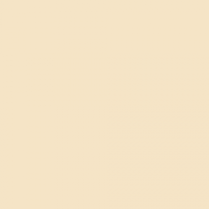 Sdi Paris Poudre Fixatrice Translucide Vegan VIVA LA DIVA - 2 Teintes