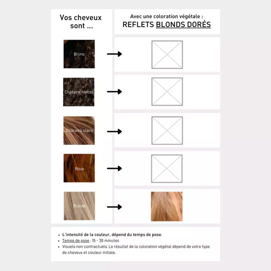 serge d'estel Coloration Végétale Blond Doré