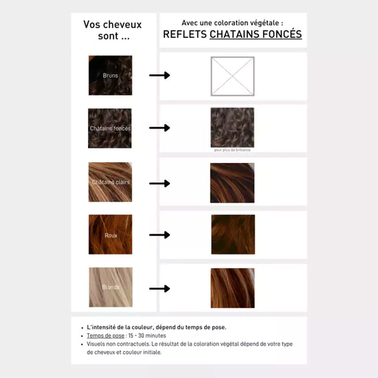 serge d'estel Coloration Végétale Châtain Foncé