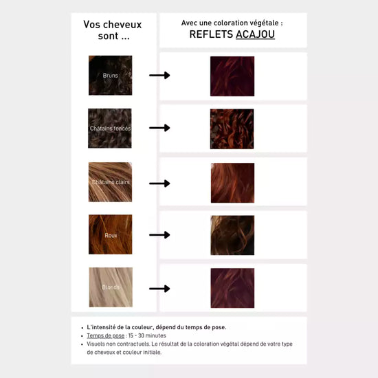 serge d'estel Henné Acajou