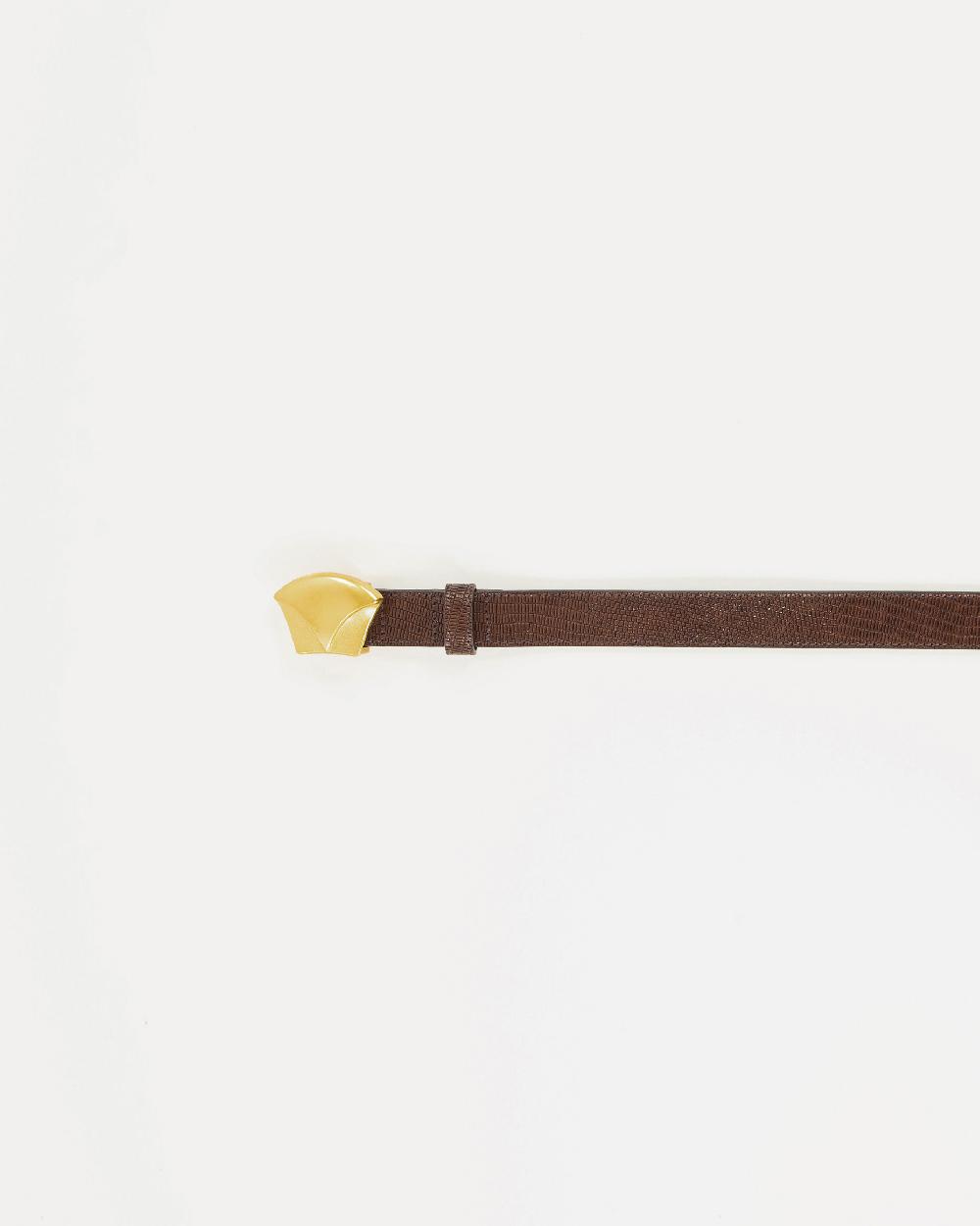 Sessun DIVILUZ Browny Lezard