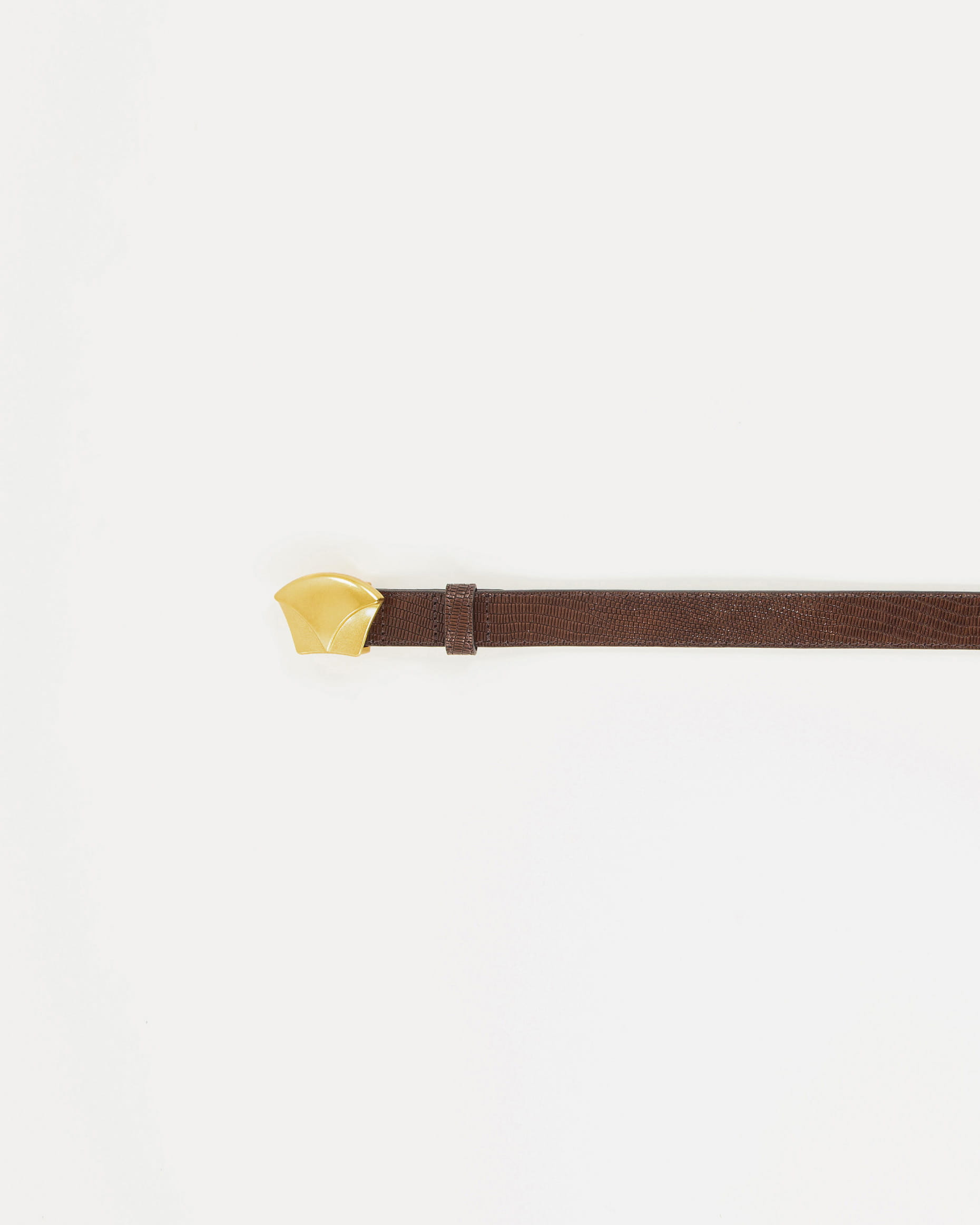 Sessun DIVILUZ Browny Lezard