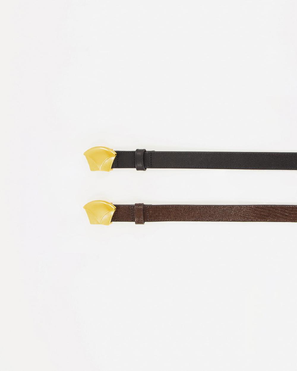 Sessun DIVILUZ Browny Lezard