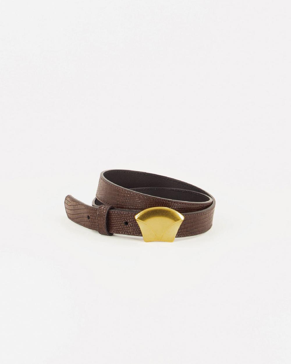 sessun DIVILUZ Browny Lezard