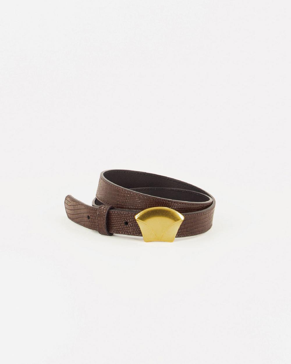 sessun DIVILUZ Browny Lezard