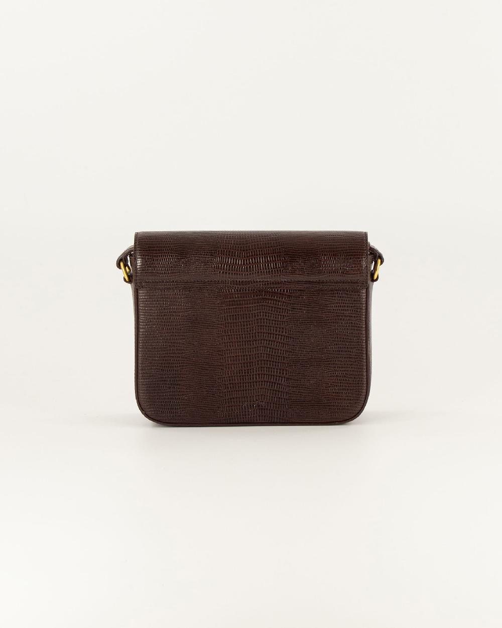 Sessun DIVILUZ E Browny Lezard