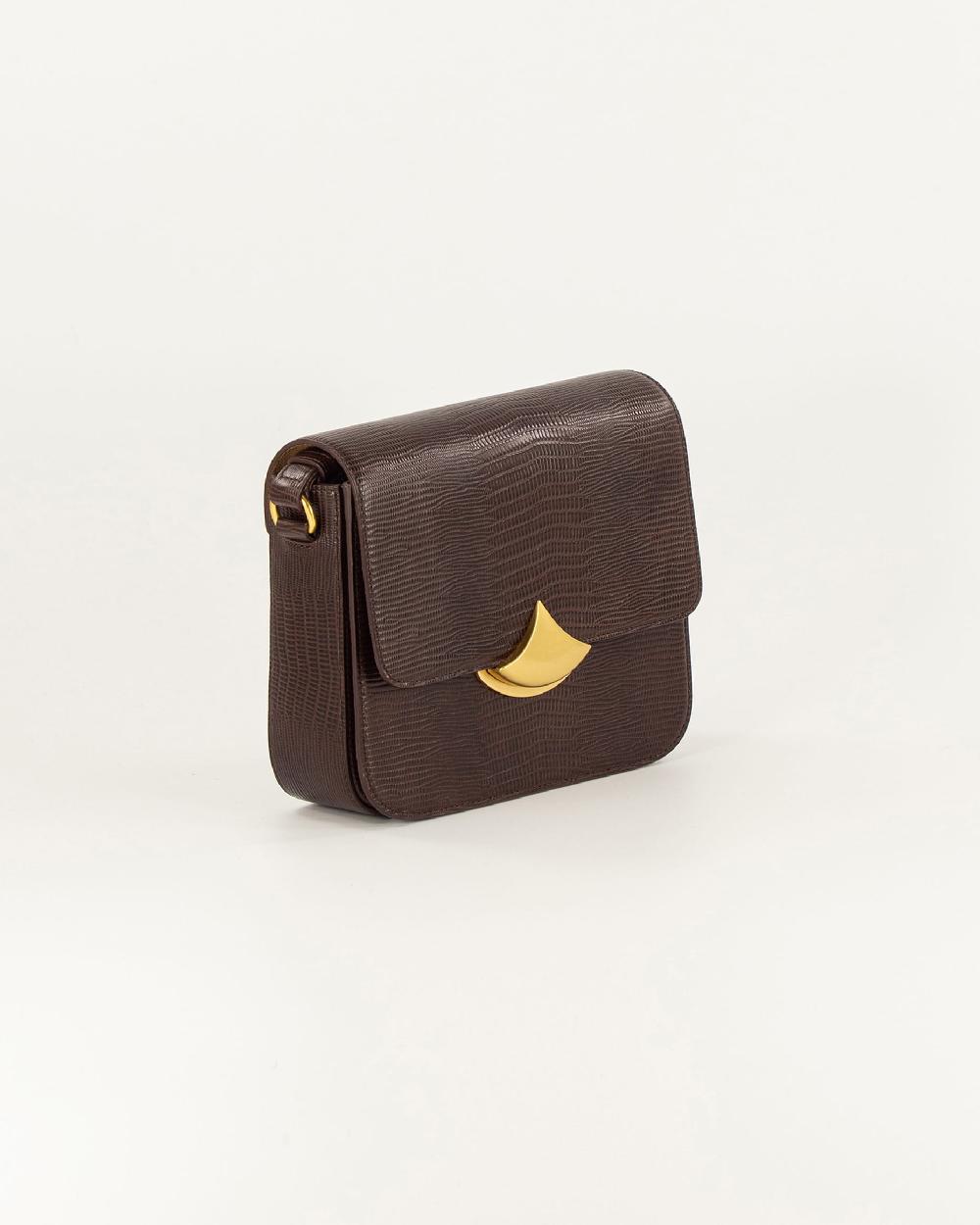 Sessun DIVILUZ E Browny Lezard