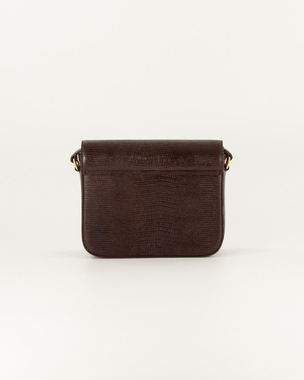 Sessun DIVILUZ E Browny Lezard