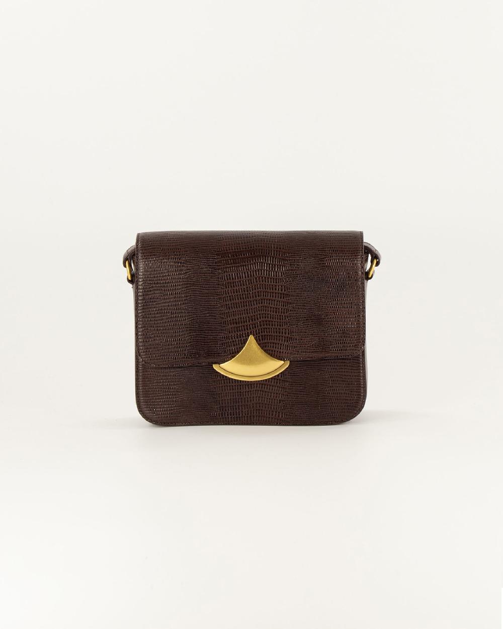 sessun DIVILUZ E Browny Lezard