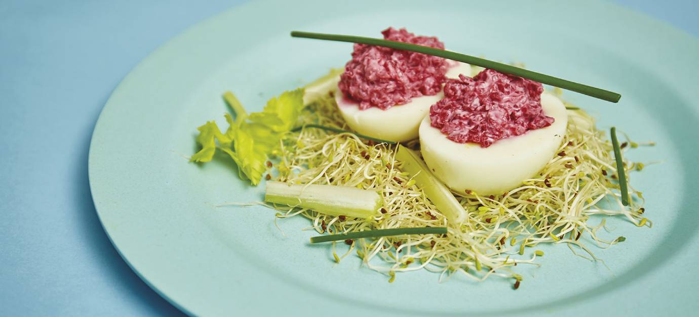 sitram Œufs mimosa à la betterave et salade de graines germées