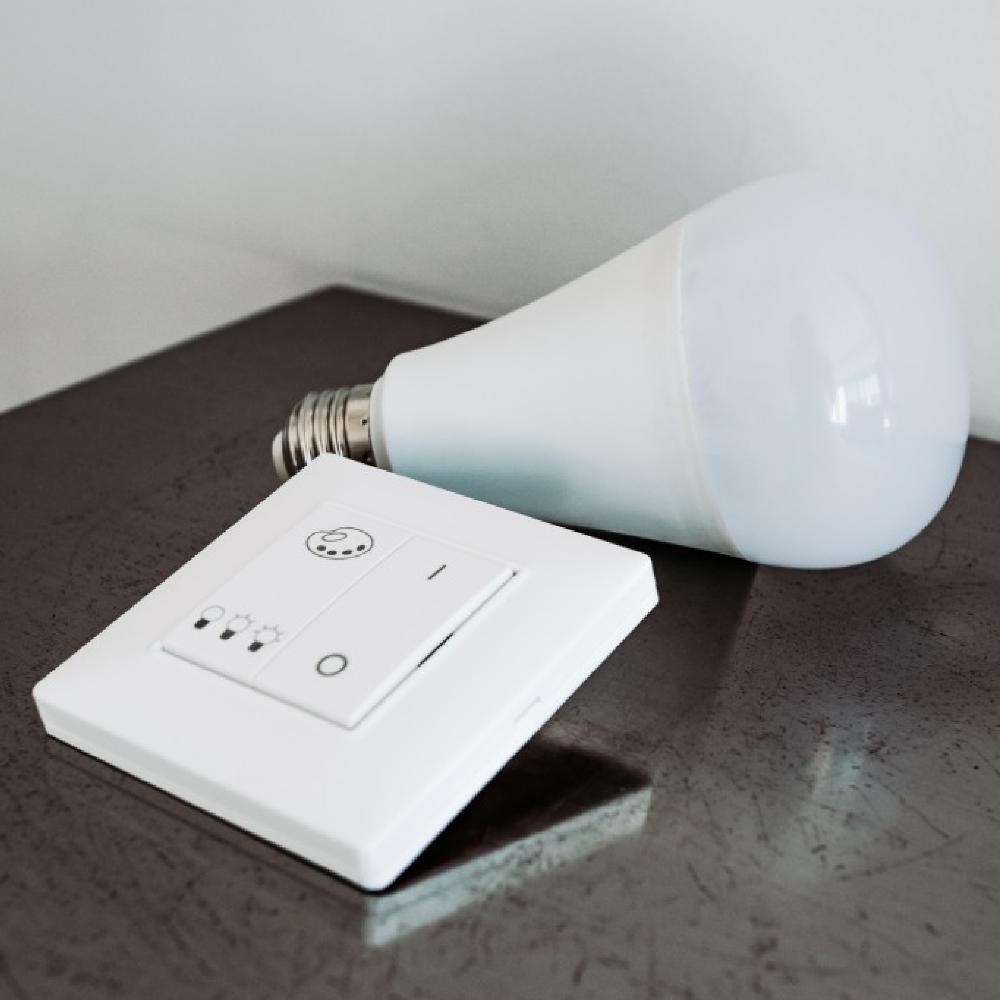 Smart And Green BULB E27 AND SWITCH PACK PACK OF TWO E27 BULBS AND A SWITCH
