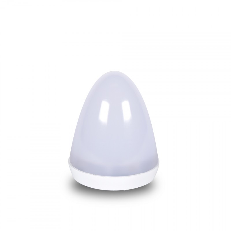 Smart And Green PACK BIG CORDLESS BULB WITH CHARGER