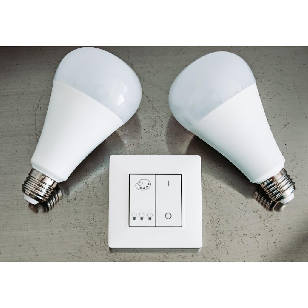 Smart And Green PACK BULB E27 ET SWITCH PACK DE DEUX AMPOULES E27 ET D’UN INTERRUPTEUR