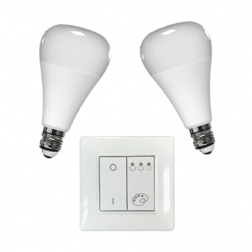 Smart And Green PACK BULB E27 ET SWITCH PACK DE DEUX AMPOULES E27 ET D’UN INTERRUPTEUR