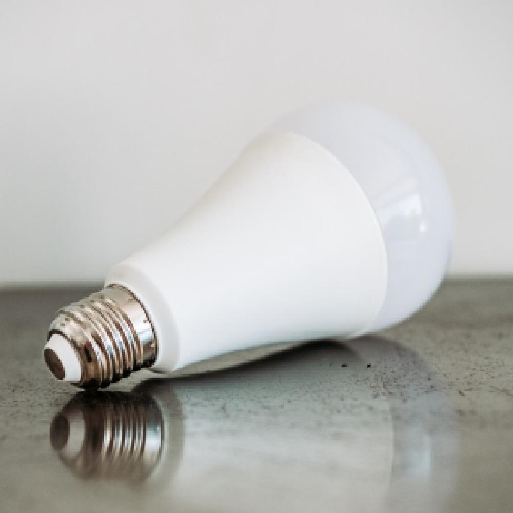 Smart And Green AMPOULE CONNECTÉE À LED E27