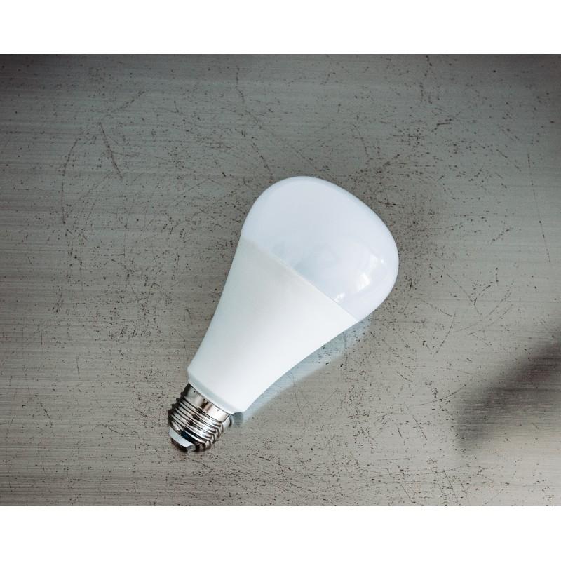 Smart And Green AMPOULE CONNECTÉE À LED E27