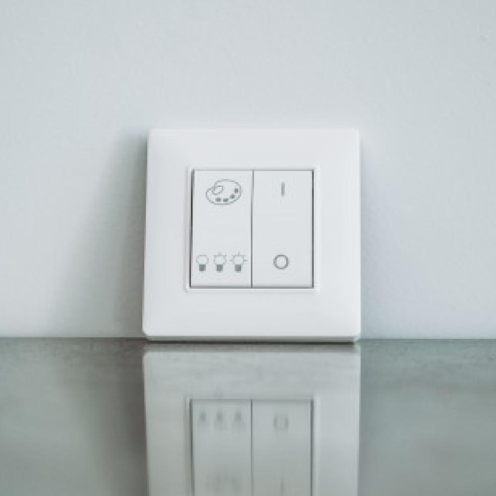 Smart And Green INTERRUPTEUR CONNECTÉ SWITCH MESH