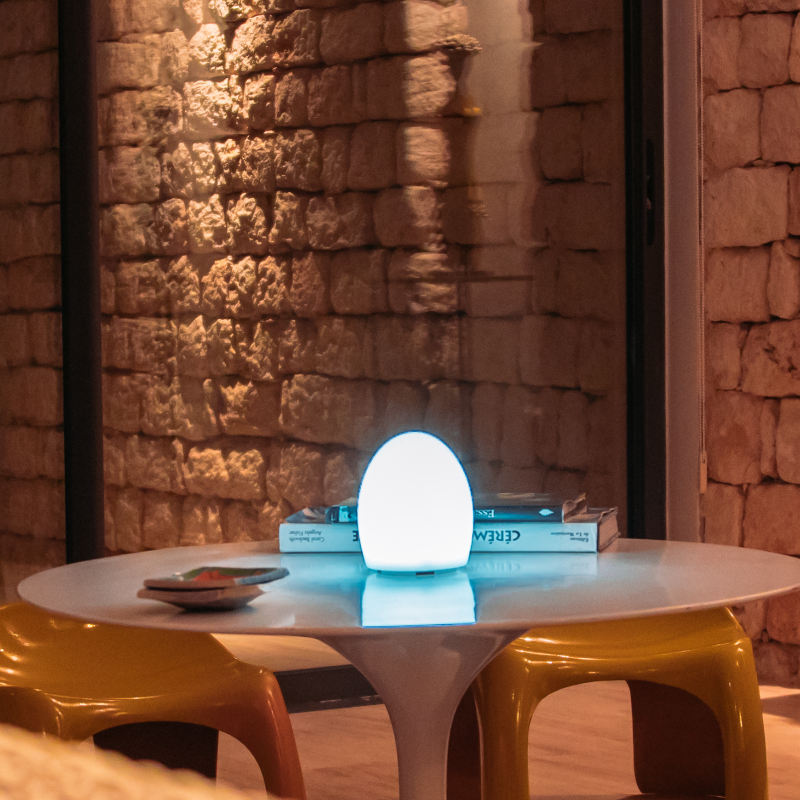 Smart And Green LAMPE DE TABLE EGG