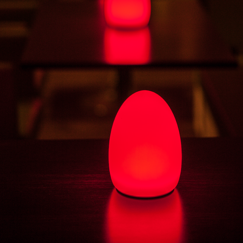 Smart And Green TABLE LAMP EGG