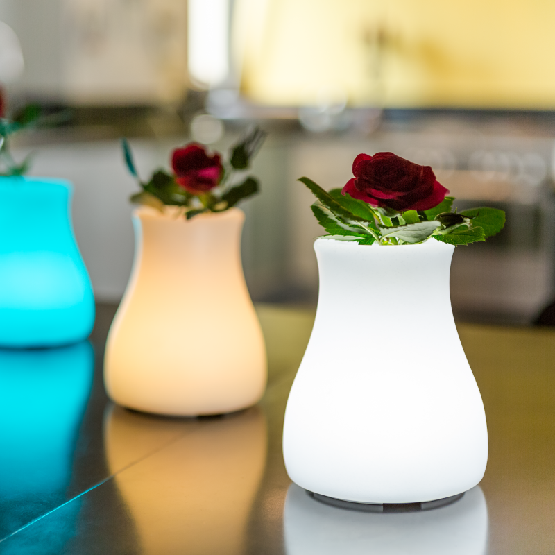 smart and green TABLE LAMP OLIO