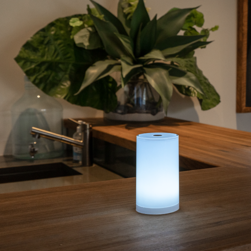 smart and green TABLE LAMP TUB