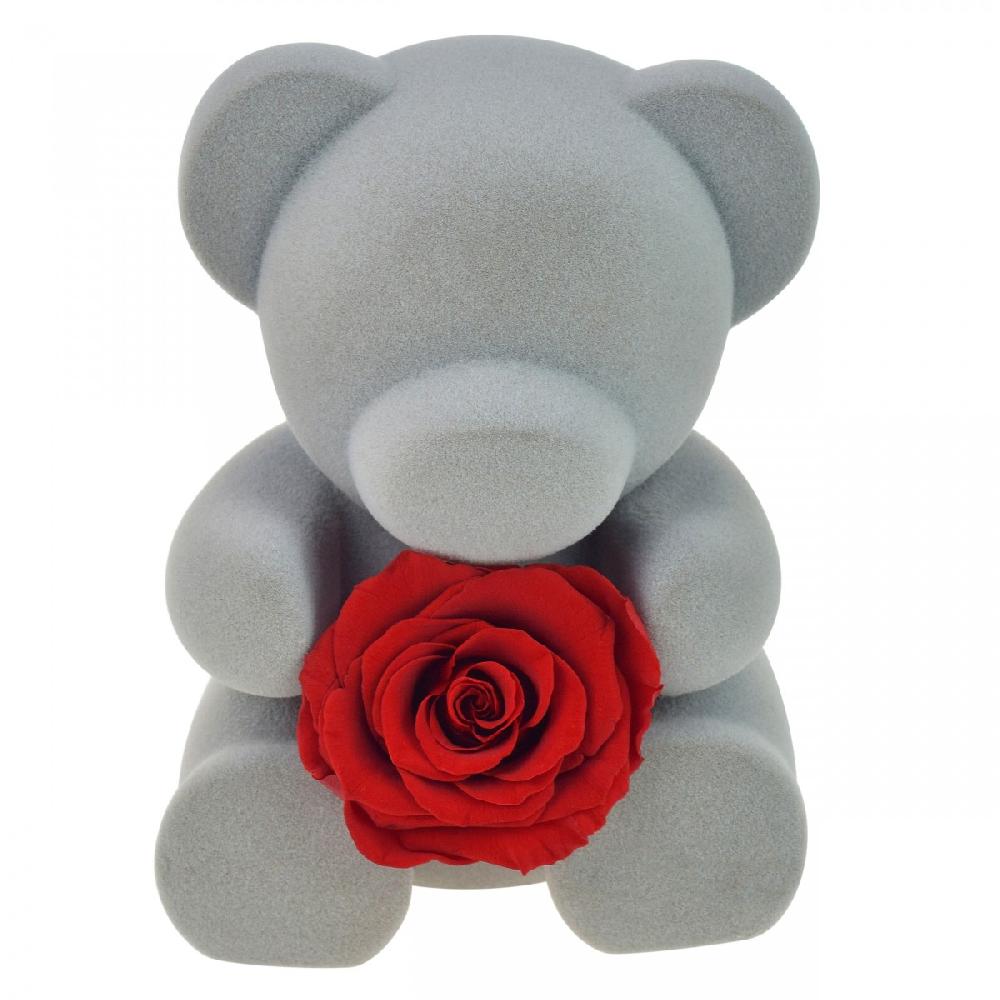 So Charm Boite à Bijoux Ourson Décorée D'une Rose éternelle - Stabilisée Rouge