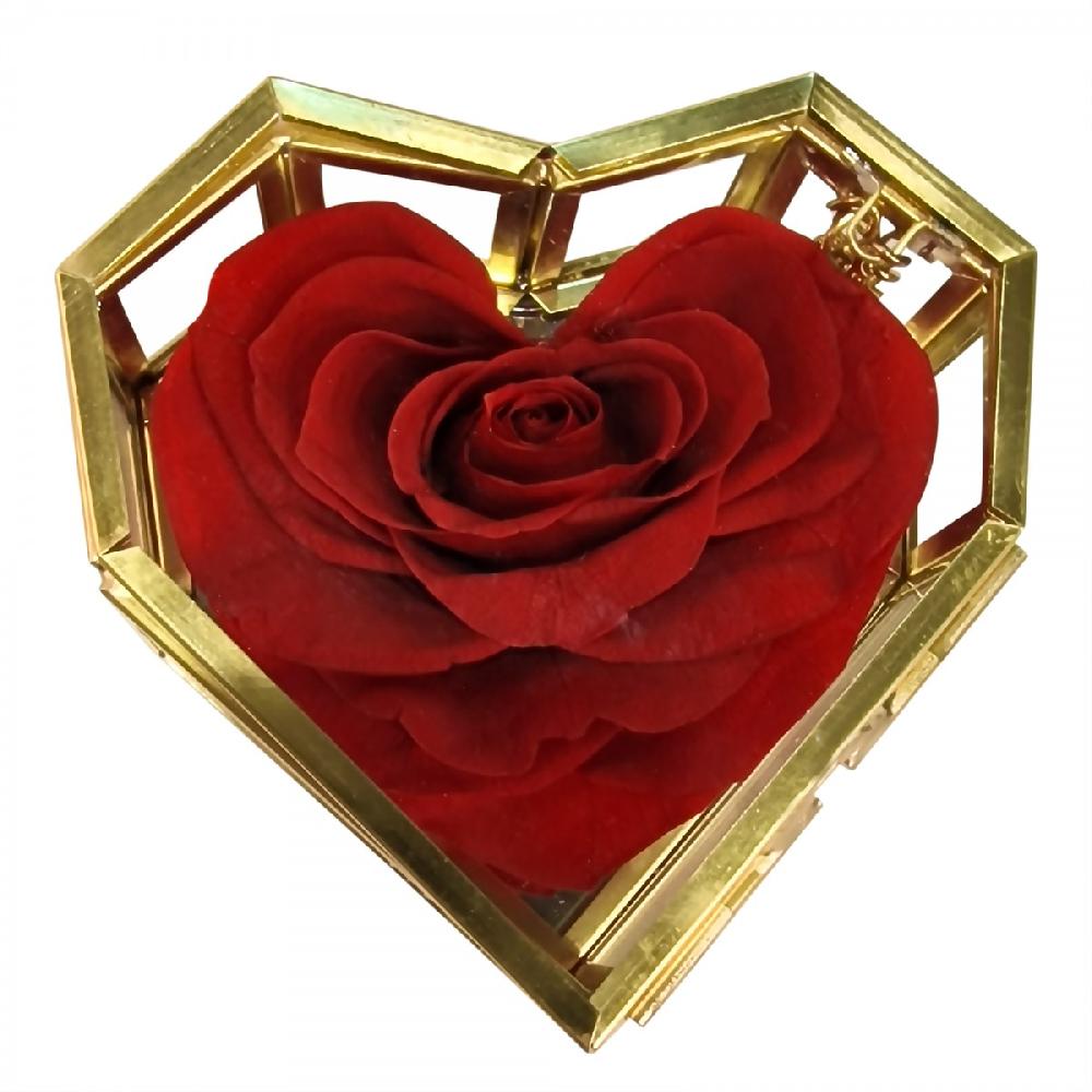 So Charm Coffret En Verre Décoré D'une Rose éternelle - Stabilisée