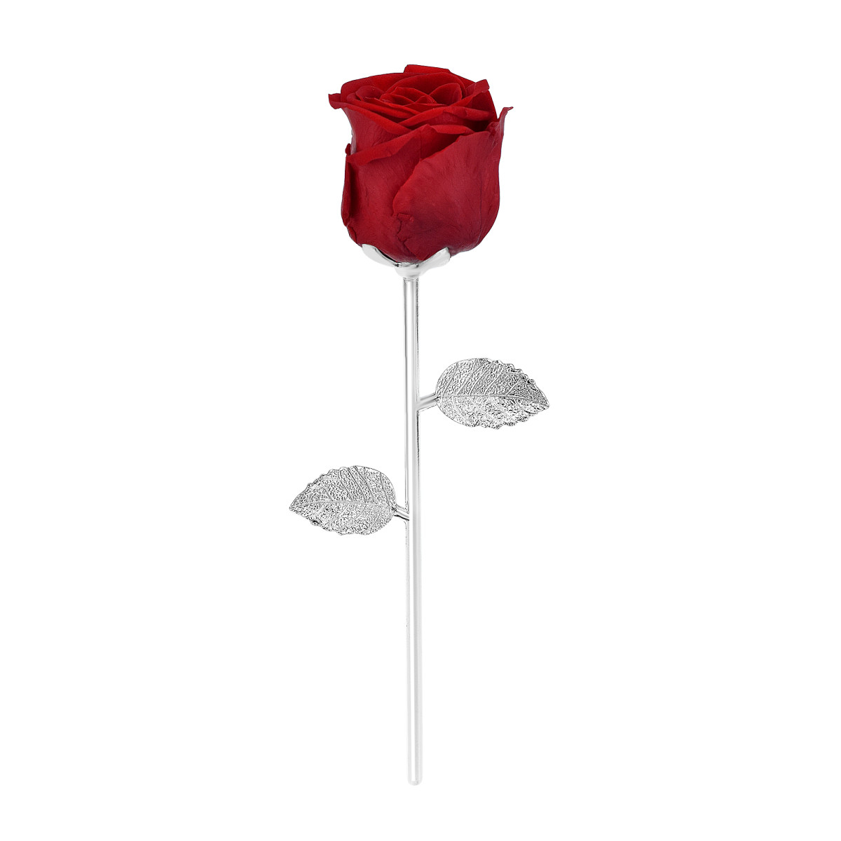 So Charm Rose éternelle Rouge Sur Tige En Métal Argentée