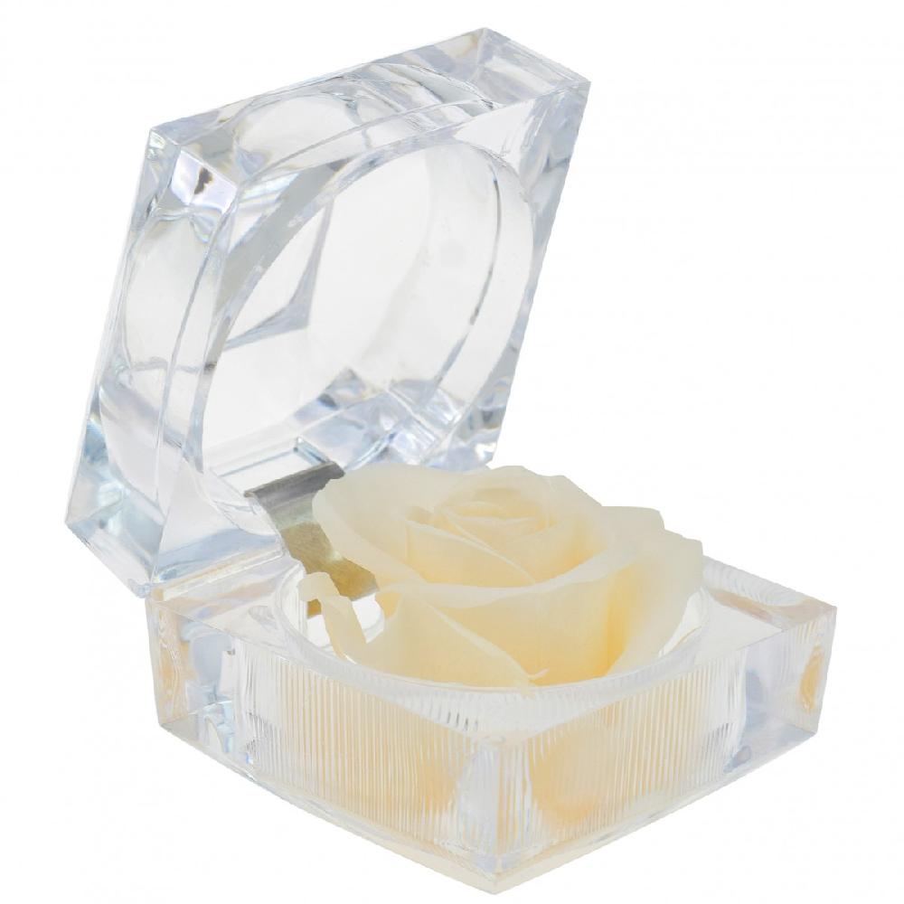 so charm Rose éternelle beige