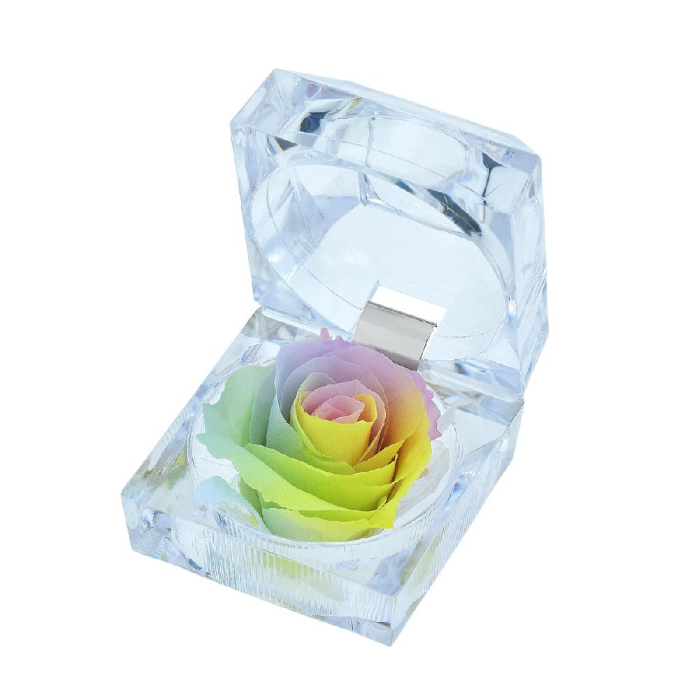 so charm Rose éternelle multicolore