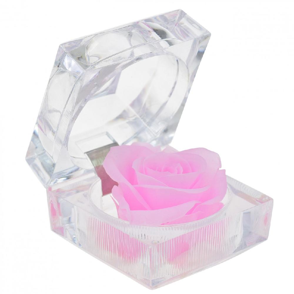 so charm Rose éternelle rose