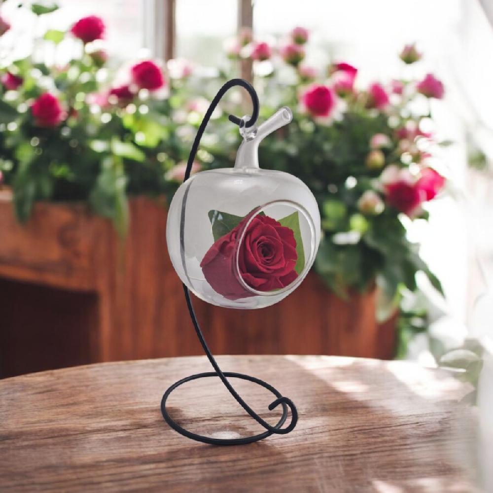 So Charm Support Fer Forgé Avec Boule En Verre Et Sa Rose éternelle - Stabilisée