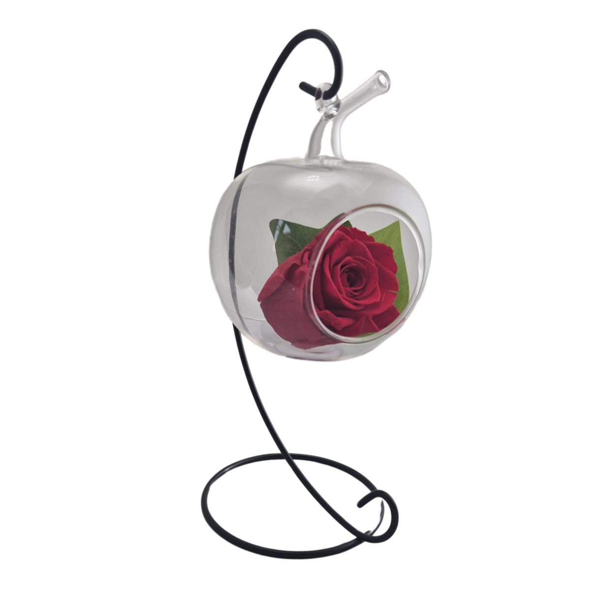 so charm Support fer forgé avec boule en verre et sa rose éternelle - stabilisée