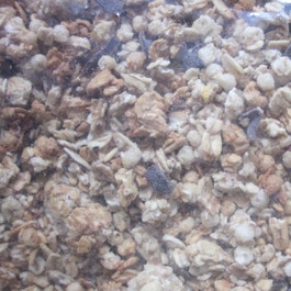 so'bio étic Muesli au chocolat - bio