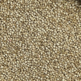 So'bio étic Quinoa - Bio