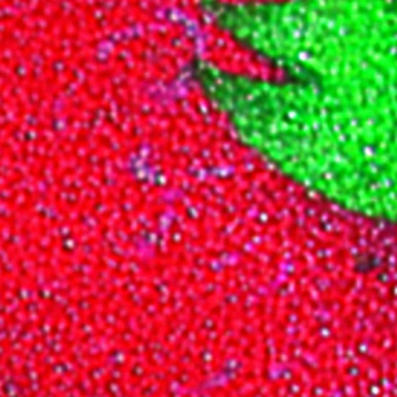 Spirella Planche à  Découper Et Dessous De Plat En Verre Motif Fraises MSV