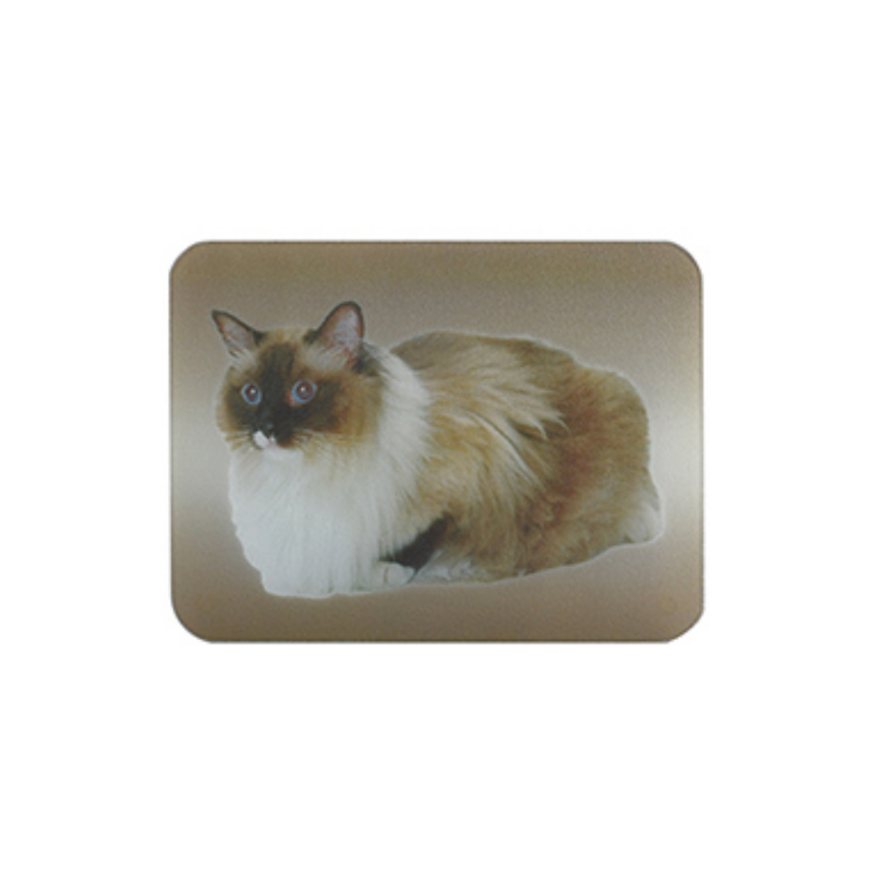 spirella Planche à  découper et dessous de plat en verre motif Chat MSV