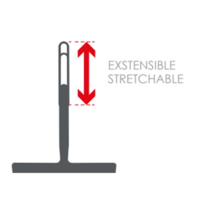 Spirella Raclette à  Vitres - Manche Extensible 24 à  30cm - Gris MSV