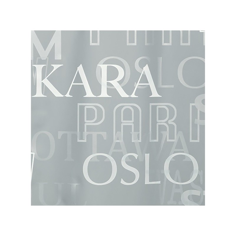 Spirella Rideau De Douche PEVA CITIES 180x200cm Argent Spirella