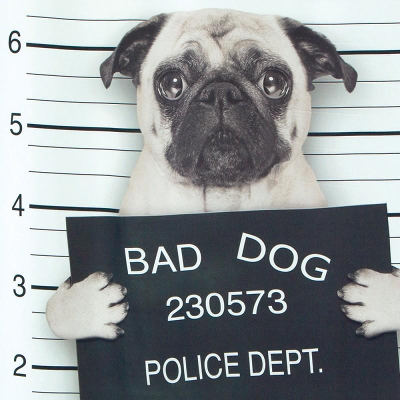 Spirella Rideau De Douche Polyester BAD DOG 180x180cm Spirella