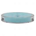 Spirella Porte Savon MANIHI Bleu Clair MSV