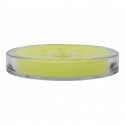 Spirella Porte Savon MANIHI En Plastique Vert MSV