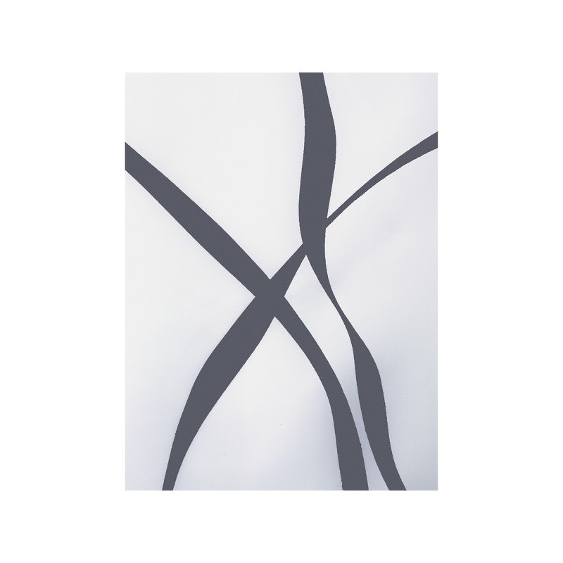Spirella Spirella Rideau De Douche Polyester RIBBON 120x200cm Noir & Blanc
