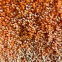 Spirella Spirella Tapis De Bain Rond Microfibre HIGHLAND Ø60cm Orange