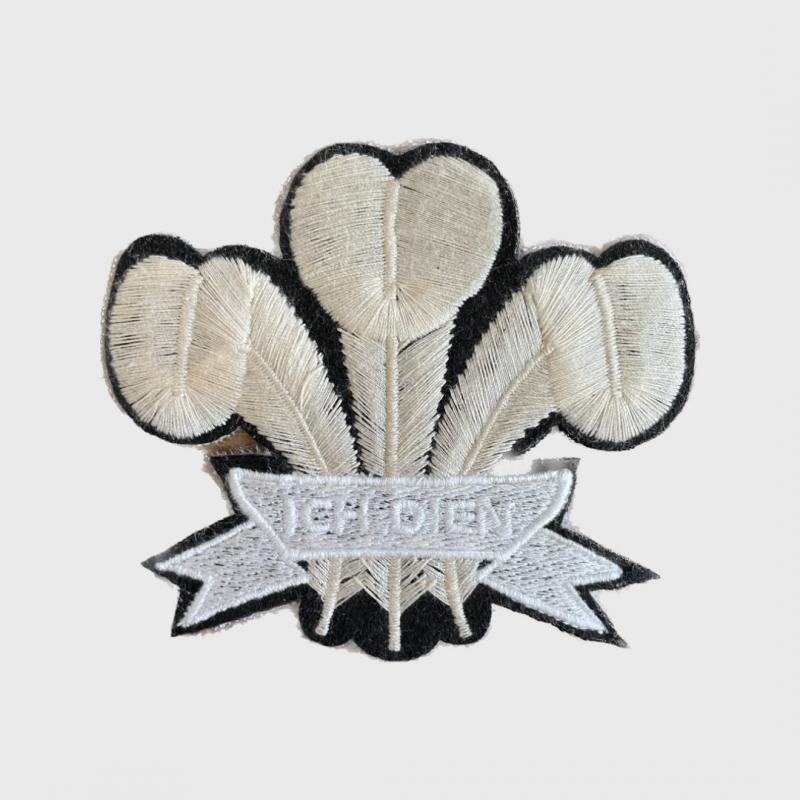 sports d'époque Ecusson Galles Vintage