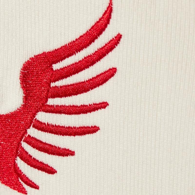 Sports D'époque Maillot Le Pourquoi Pas