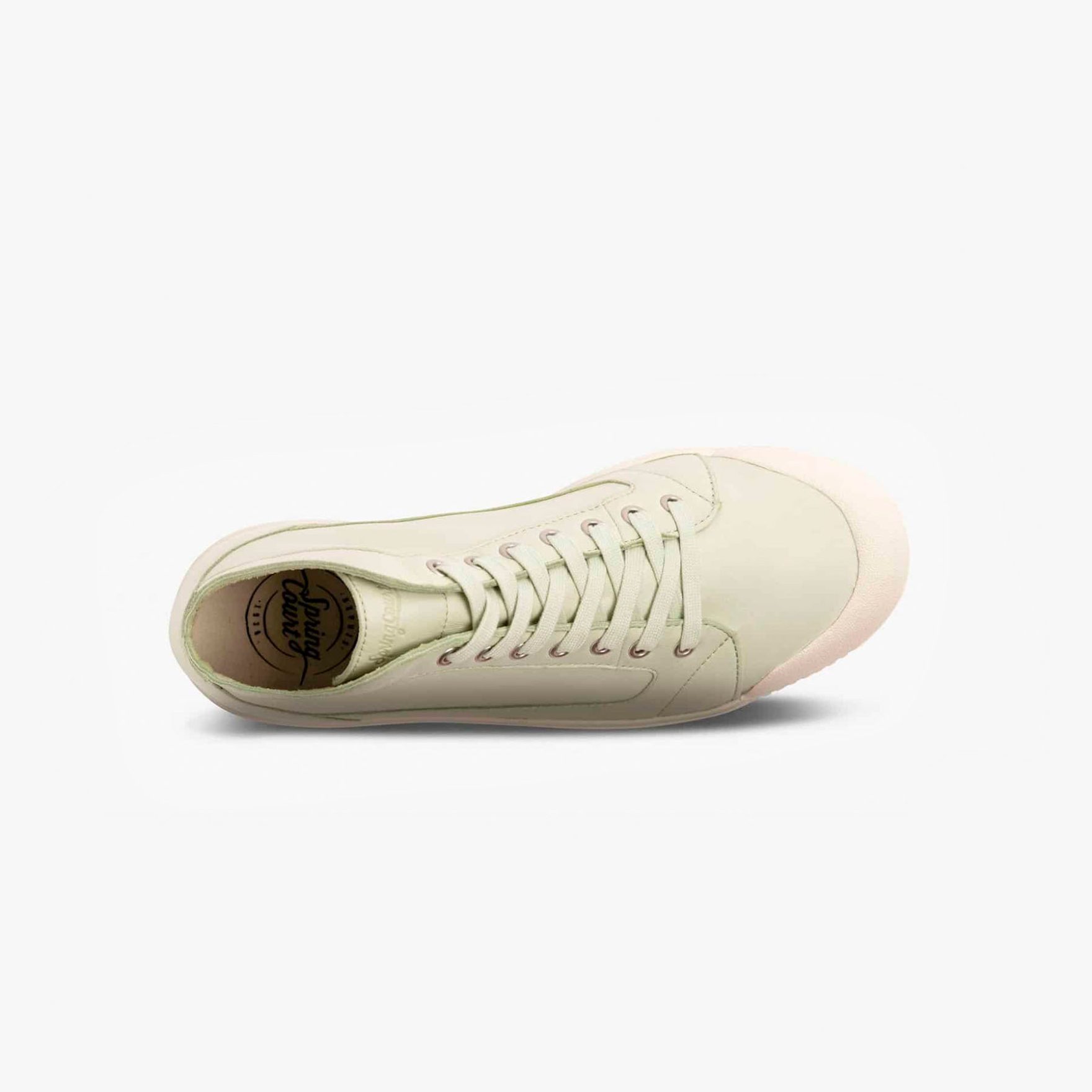 Spring Court Basket Montante En Cuir Matcha